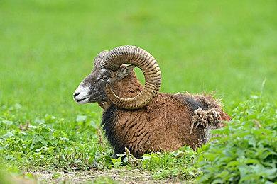 Steam Deck 2024年4月最热游戏 《辐射4》第二