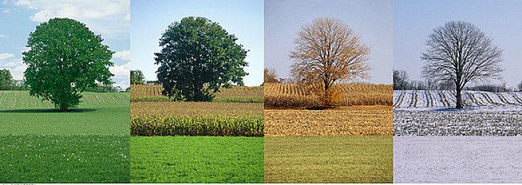 CDPR 2021上半年营收增长29% 但利润下滑28%